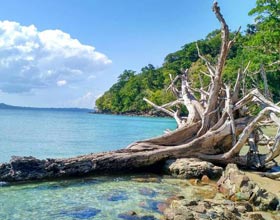 holiday packages to Andaman and nicobar