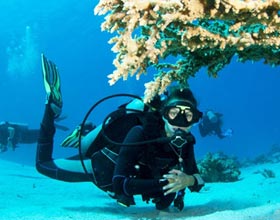 Scuba Diving Scuba Diving in Andaman