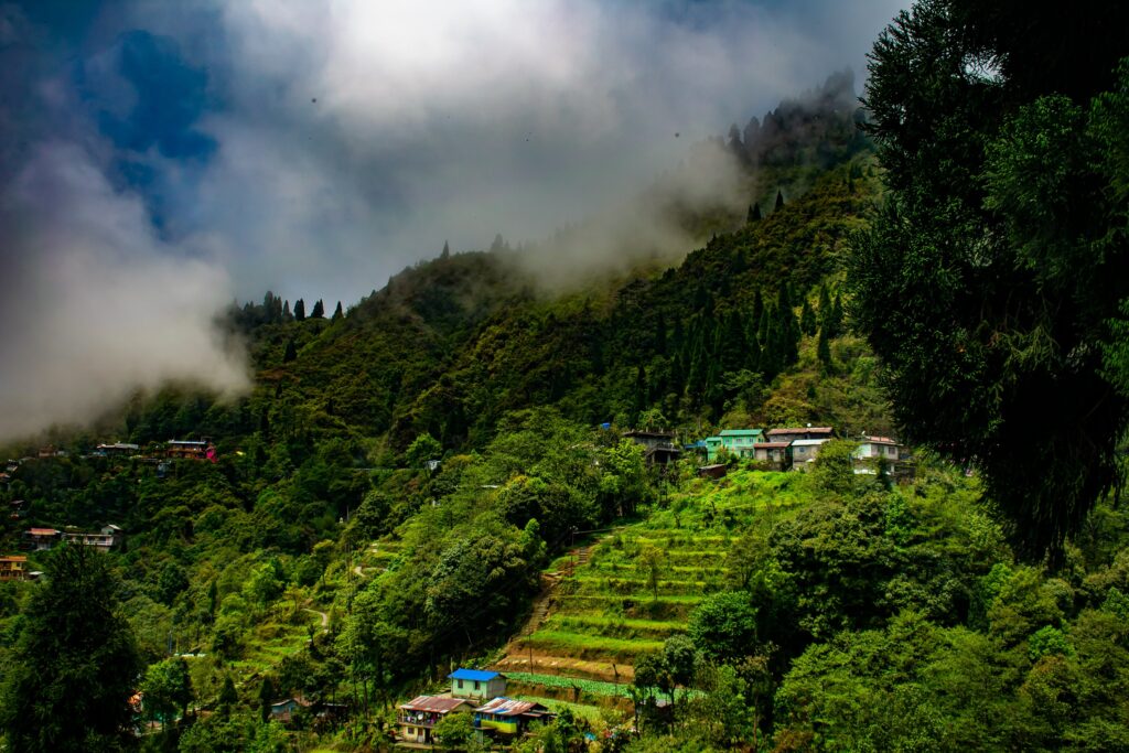 darjeeling-tour-packages