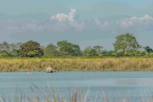 kaziranga national park