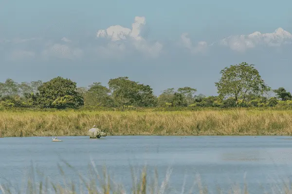 Kaziranga national park