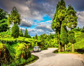 darjeeling tour packages from Bangalore