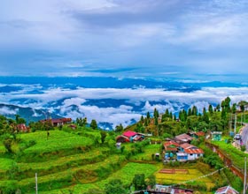 darjeeling travel packages from Bangalore