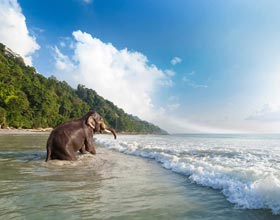 Andaman Group Tour Package