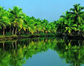 Kerala holiday packages from Delhi