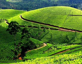 tour packages to Kerala from Kolkata