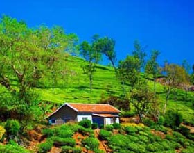 Ooty Tour