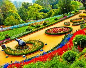 Ooty Tour