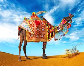 Trip to Rajasthan