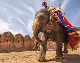 Rajasthan holiday package