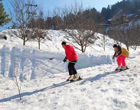 Shimla Tour