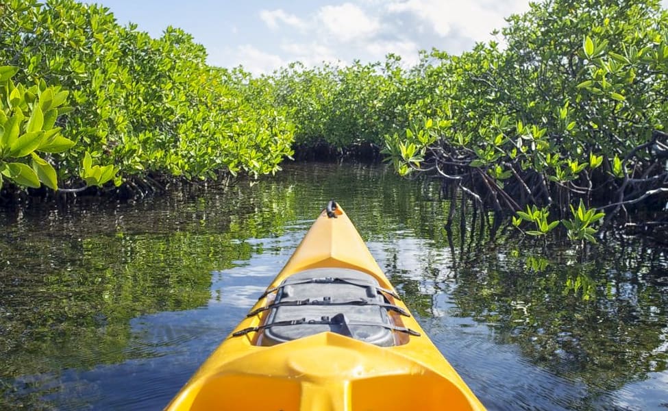 Kayaking