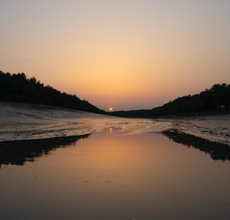 holiday packages to Sundarban